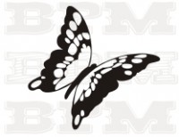 /album/hmyz/hmyz-19-jpg/